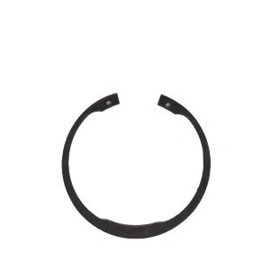 Circlip
